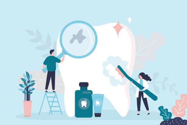  Fords Prairie, WA Dental Services Pros